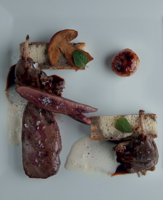 Variace z divoké kachny, hříbková nádivka : Tomáš Levý